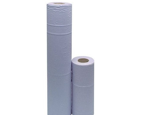 2-Ply Hygiene Roll 10 Inch Blue (Pack of 24) (couch roll)