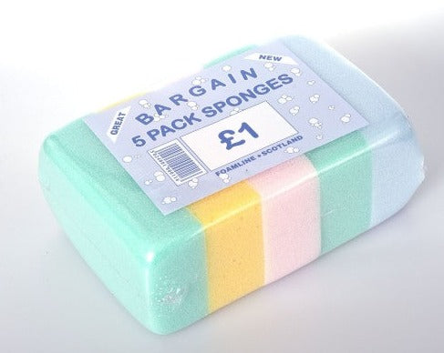 £1 5 Pack Bargain Spones (6)