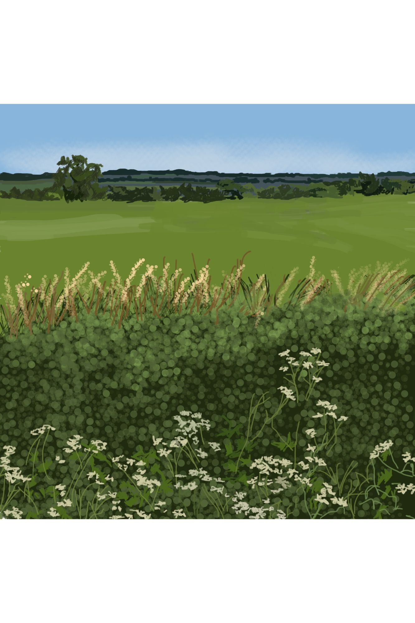 £2.95 Samuel Sharp Art Cards (6)