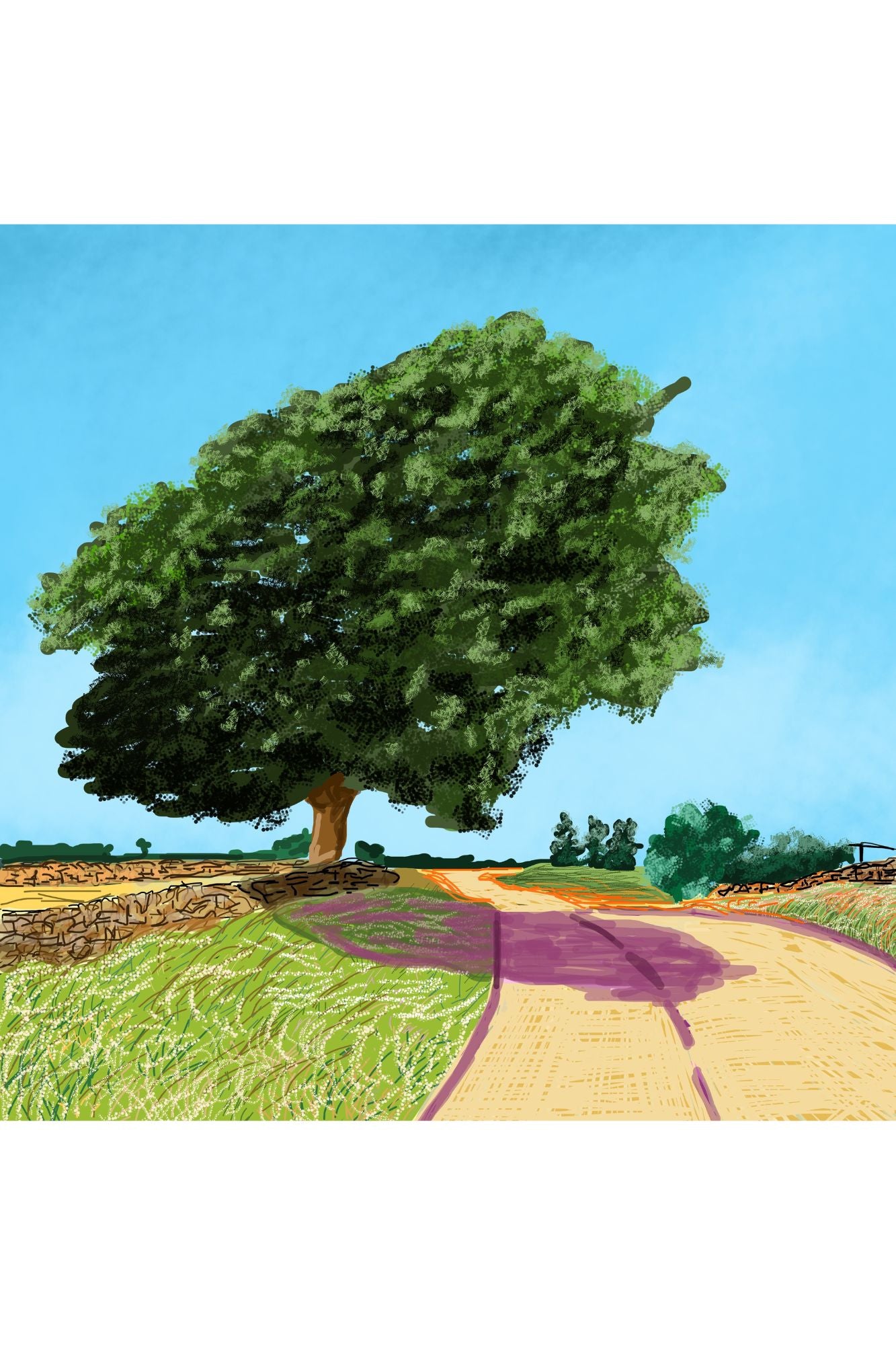 £2.95 Samuel Sharp Art Cards (6)